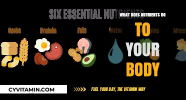 Unlocking Wellness: The Vital Role of Nutrients in Your Body
