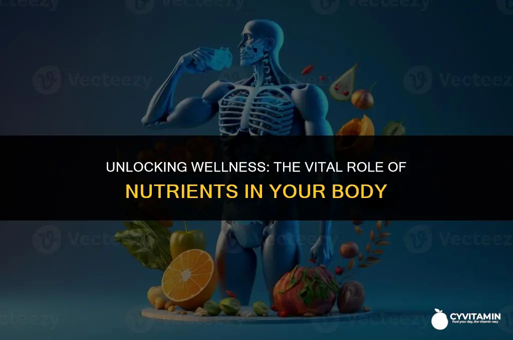 what does nutrients do to your body