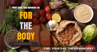 Unlocking the Power of [Nutrient]: Essential Functions for Optimal Health