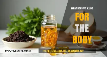 Unlocking the Power of Vitamin K2: Essential Benefits for Your Body
