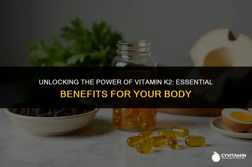 what does vit k2 do for the body