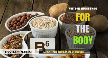 Unlocking the Power of Vitamin B6: Essential Functions Revealed
