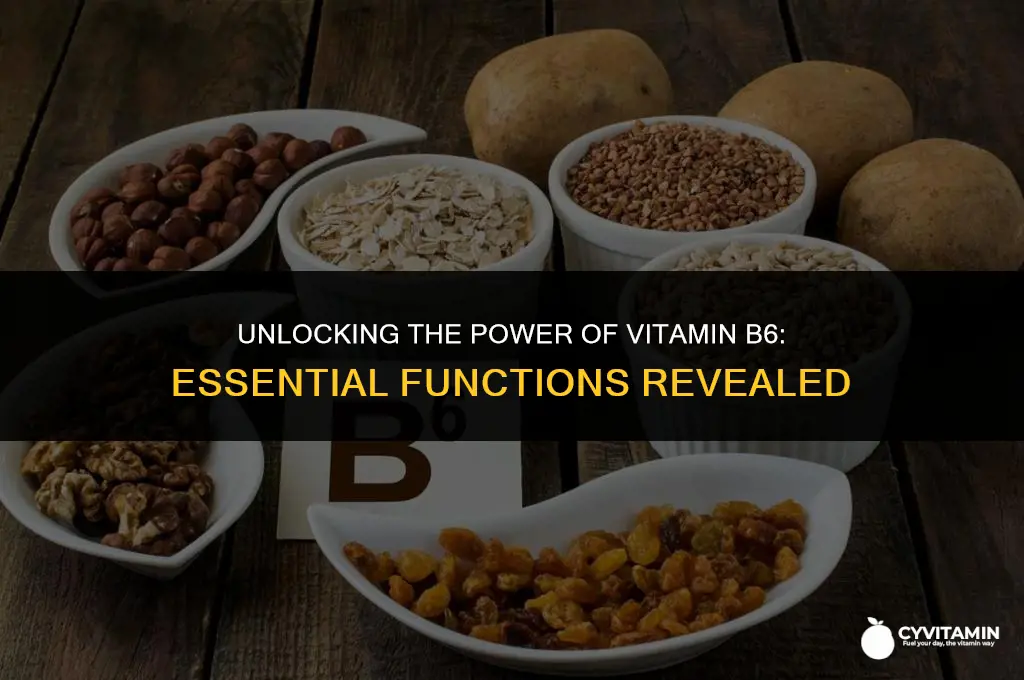 what does vitamin b 6 do for the body