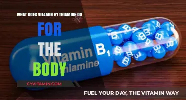 Unlocking Energy: The Vital Role of Vitamin B1 (Thiamine) in Your Body
