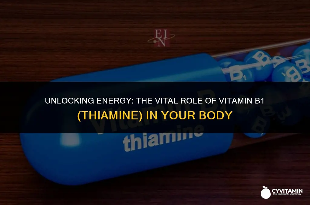 what does vitamin b1 thiamine do for the body