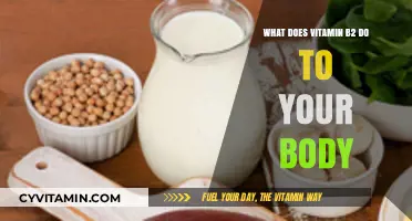 Unlocking the Power of Vitamin B2: Essential Benefits for Your Body