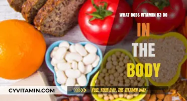 Unlocking the Power of Vitamin B3: Essential Functions Revealed