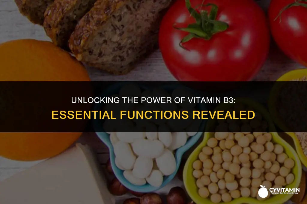 what does vitamin b3 do in the body