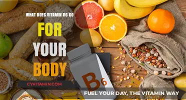 Unlocking the Power of Vitamin B6: Essential Benefits for Your Body