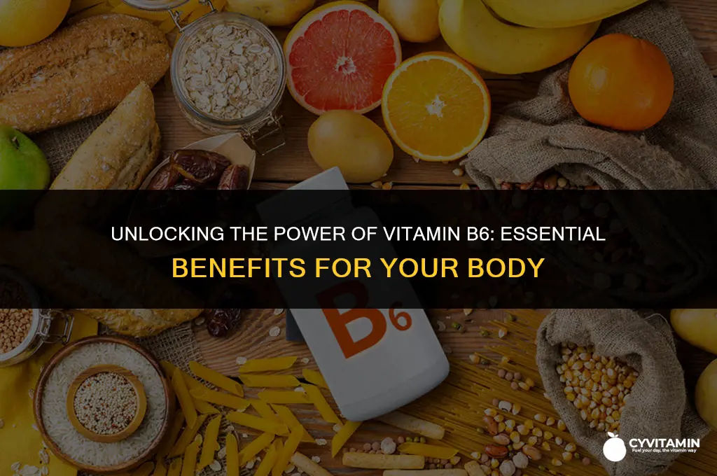 what does vitamin b6 do for your body