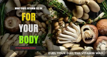 Unlocking the Benefits: How Vitamin D2 Nourishes Your Body