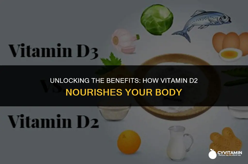 what does vitamin d2 do for your body