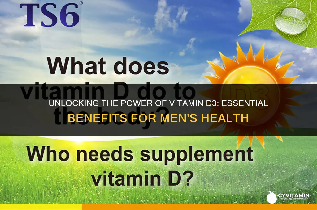 what does vitamin d3 do for men