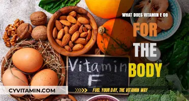 Unlocking the Secrets of Vitamin E: A Comprehensive Guide to Its Benefits