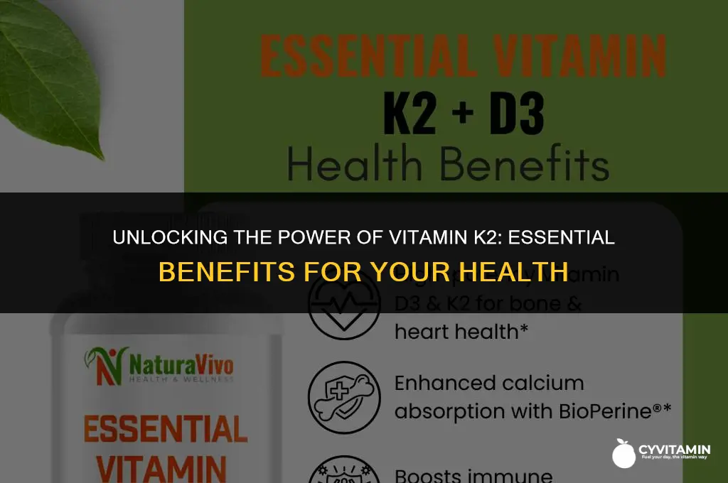 what does vitamin k 2 do