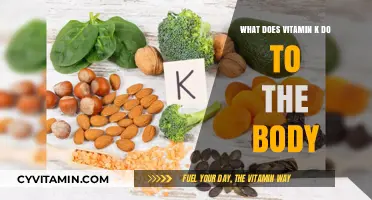 Unlocking the Power of Vitamin K: Essential Benefits for Your Body