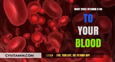 Unlocking the Power of Vitamin K: Essential for Blood Health