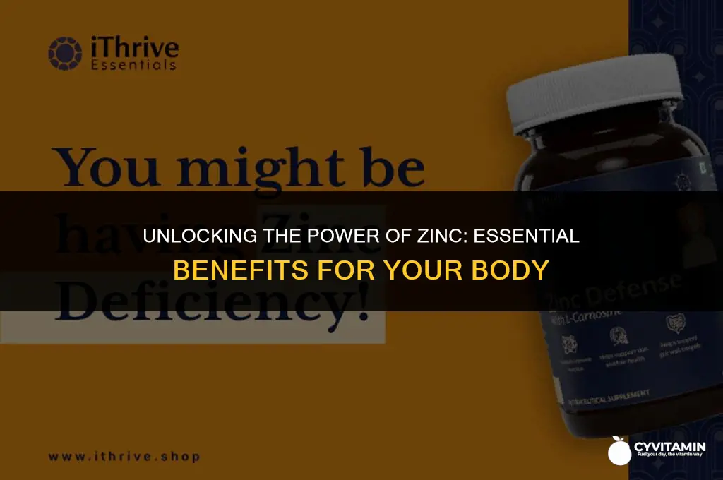 what does vitamin zinc do for your body