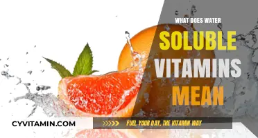 Unlocking Nutrition: The Power of Water-Soluble Vitamins Explained