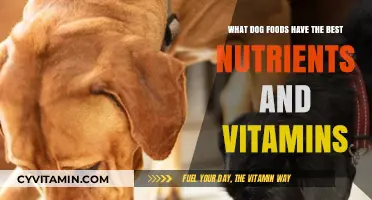 Top Nutrient-Rich Dog Foods for Optimal Health and Vitality