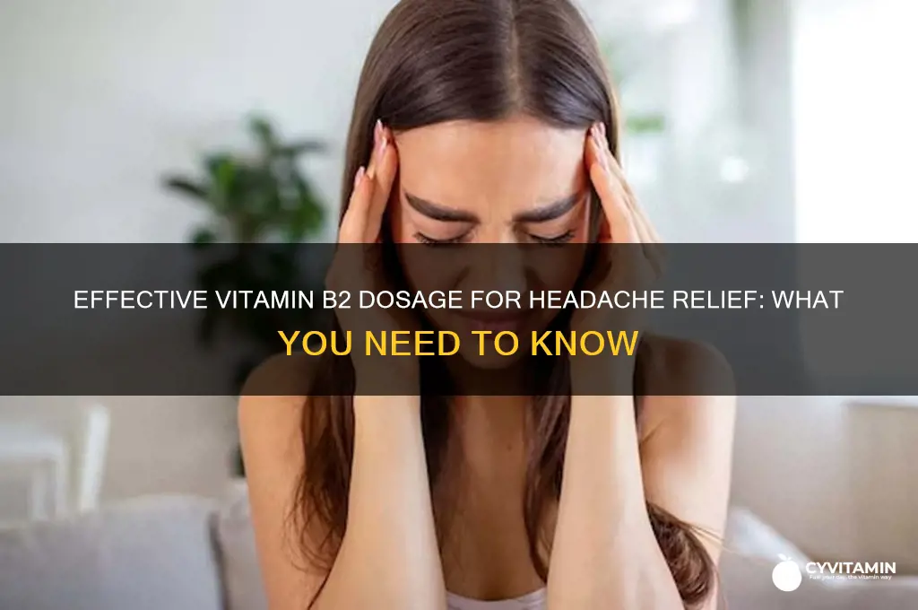 what dosage of vitamin b2 best for headaches