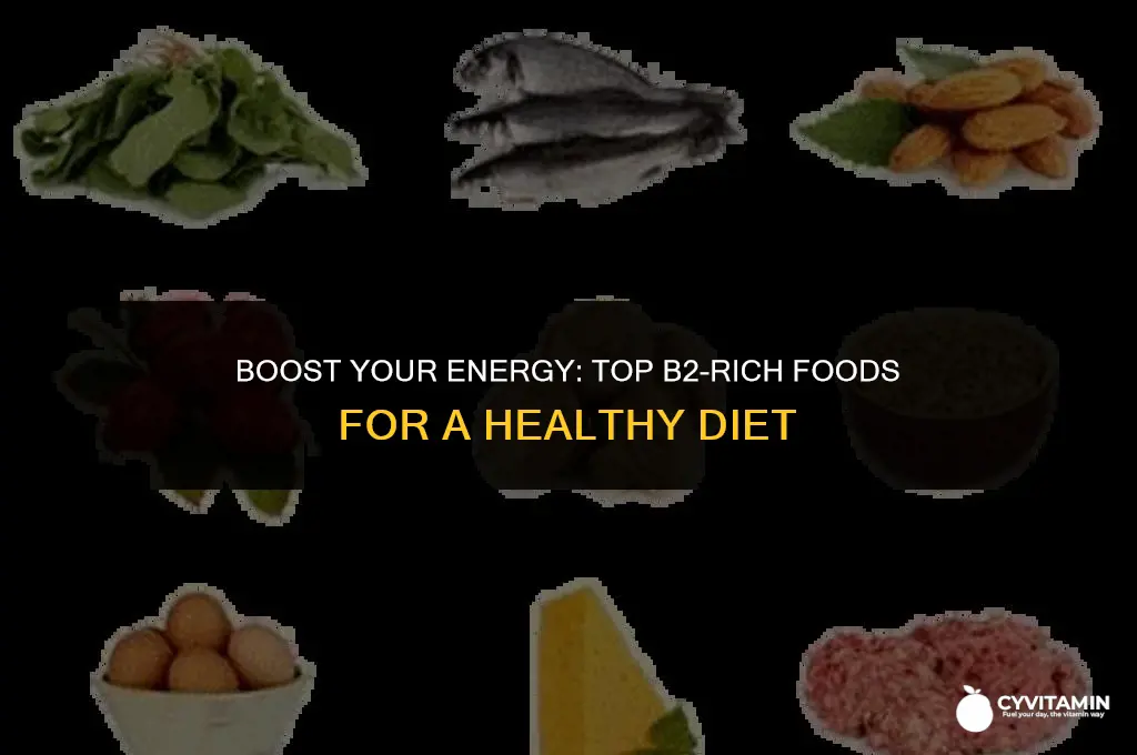 what food has b2