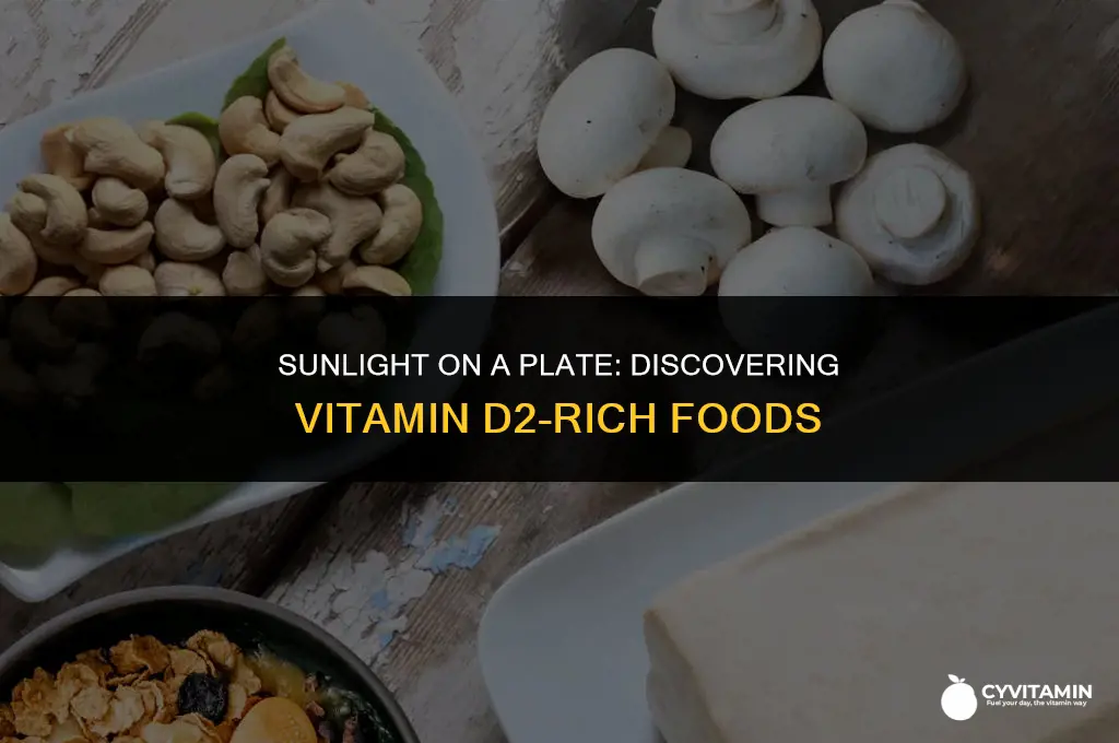 what food has vitamin d2