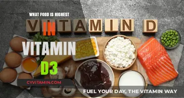 Sun-Kissed Nutrition: Unveiling the Top Vitamin D3-Rich Foods