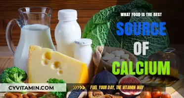 Top Calcium-Rich Foods for Strong Bones and Optimal Health
