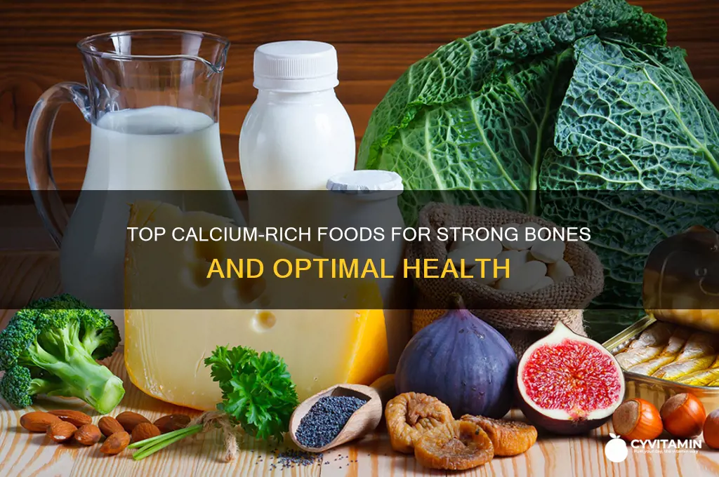 what food is the best source of calcium