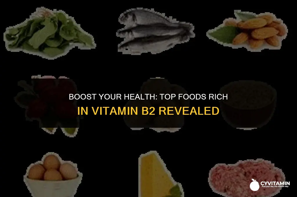 what food is vitamin b2 found in