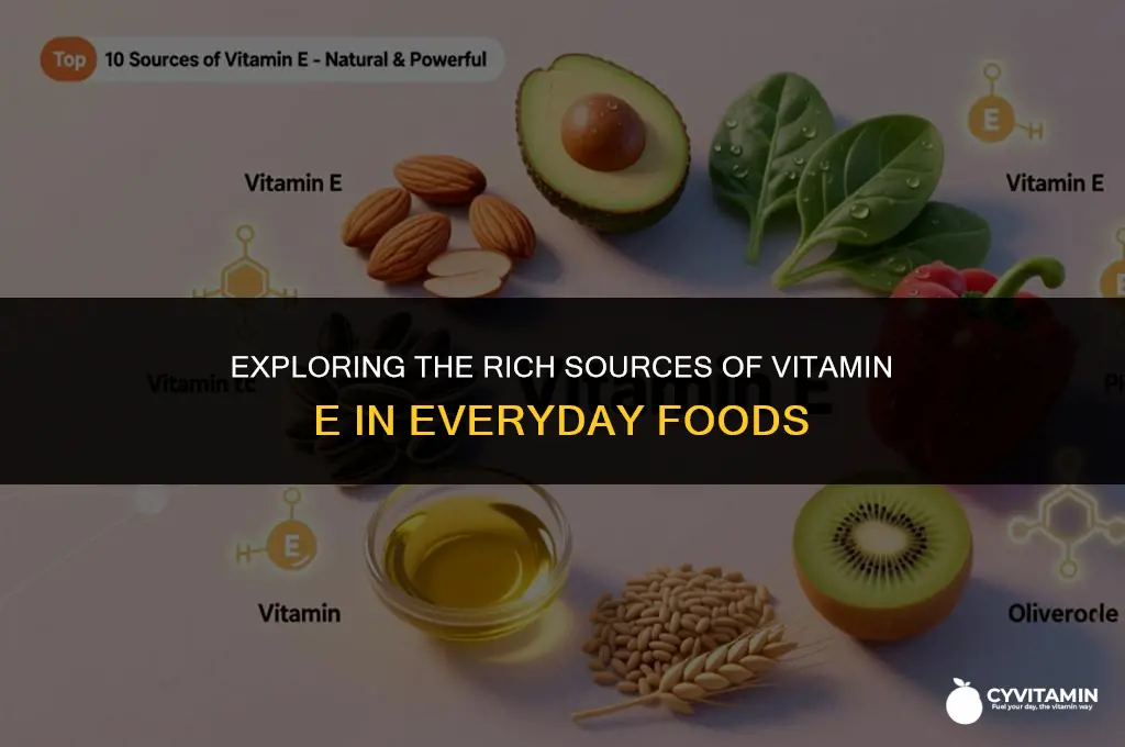 what food is vitamin e