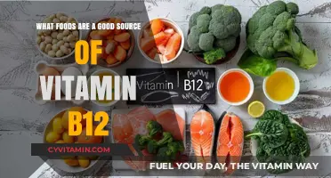Boost Your B12: Top Food Sources for This Essential Nutrient