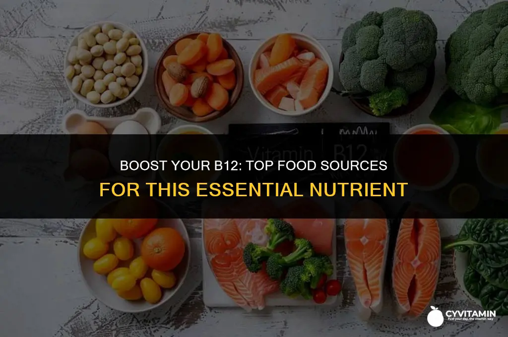 what foods are a good source of vitamin b12