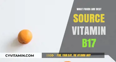 Top Vitamin B17 Rich Foods for Optimal Health and Wellness