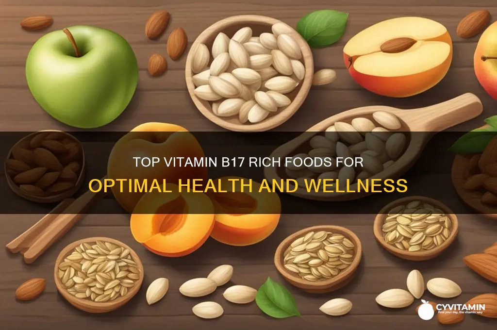 what foods are best source vitamin b17