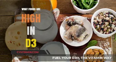Sun-Kissed Nutrition: Top Foods Rich in Vitamin D3