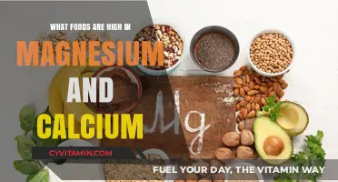 Boost Your Health: Top Foods Rich in Magnesium and Calcium