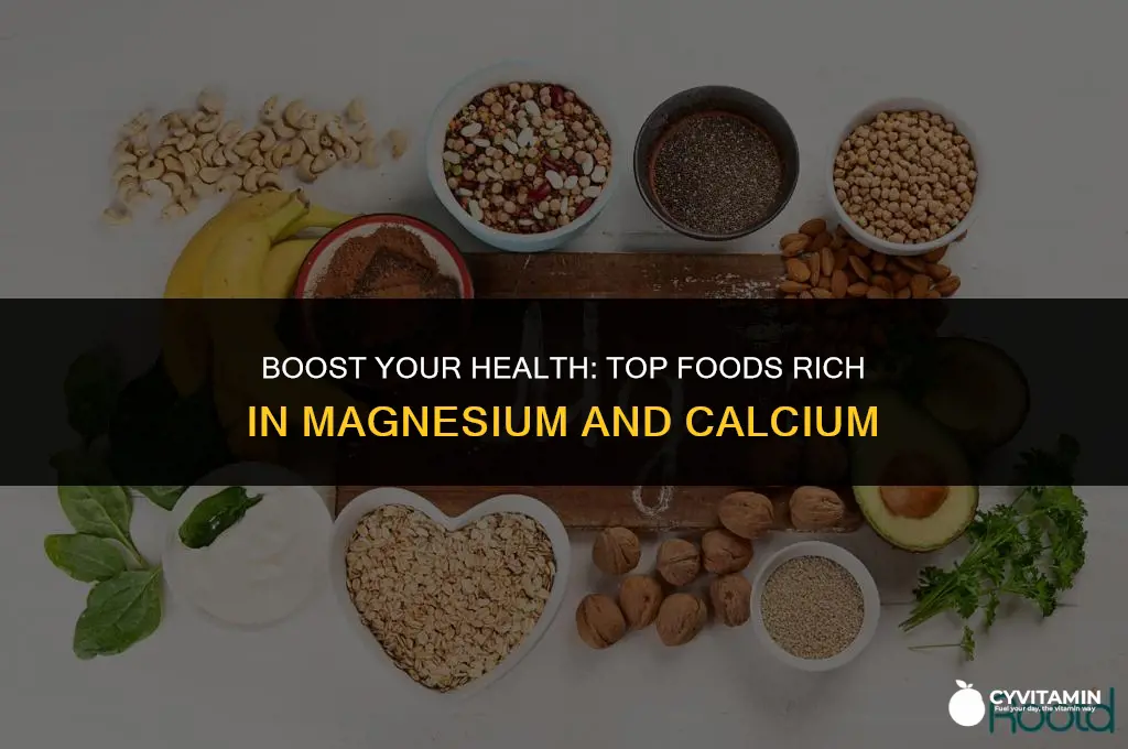 what foods are high in magnesium and calcium