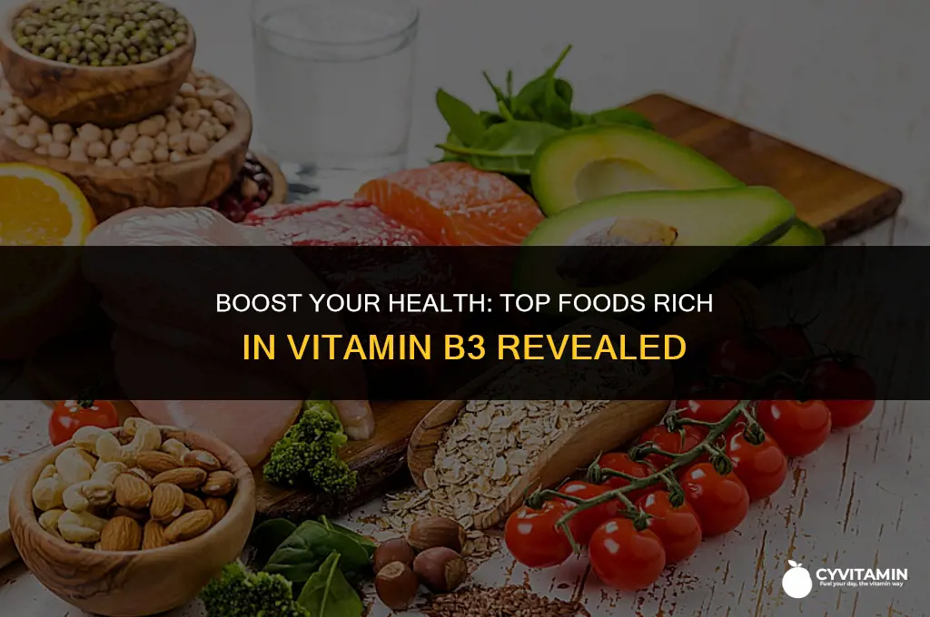 what foods are high in vitamin b3