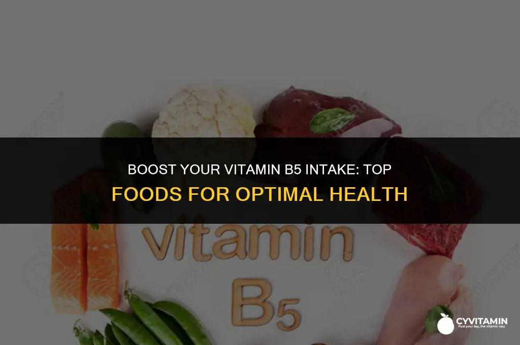 what foods are high in vitamin b5