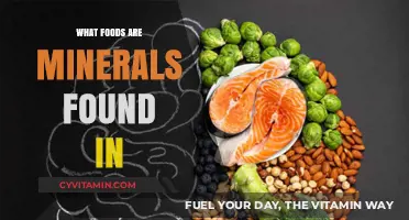 Nature's Bounty: Unveiling Mineral-Rich Foods for Optimal Health