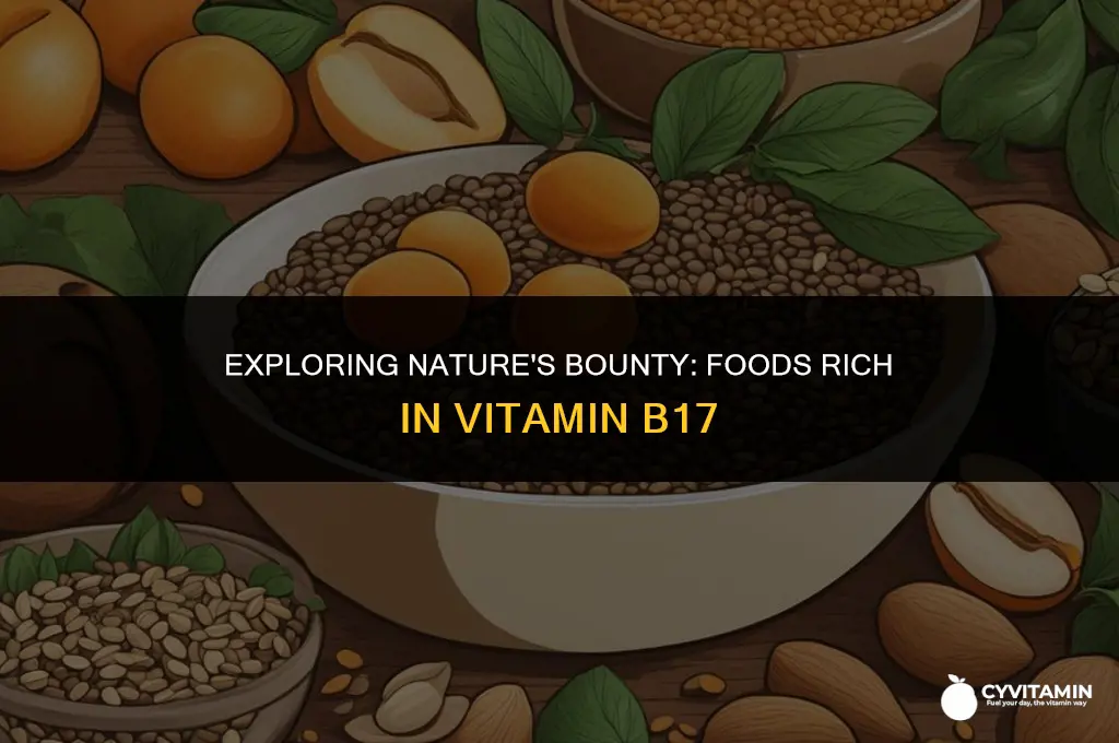 what foods contain b17 vitamin