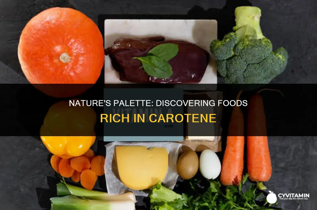 what foods contain carotene