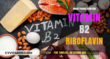 Riboflavin-Rich Foods: A Guide to Vitamin B2 Sources