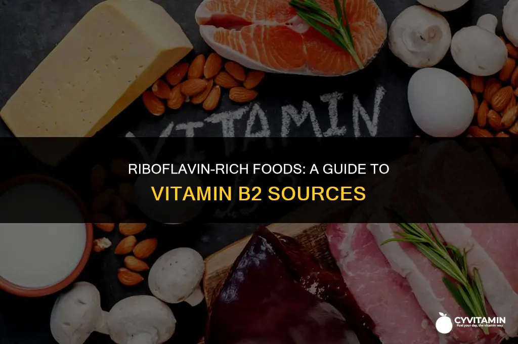 what foods contain vitamin b2 riboflavin