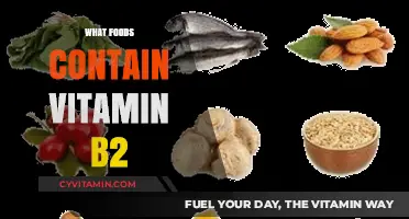Boost Your Diet: Discover Foods Rich in Vitamin B2