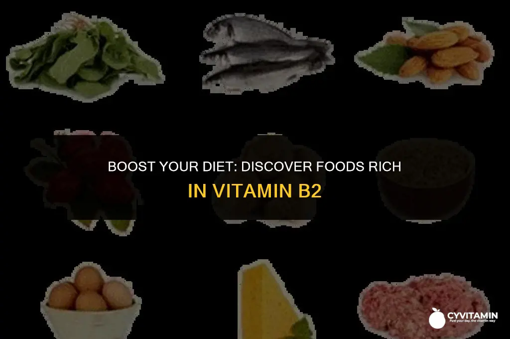 what foods contain vitamin b2