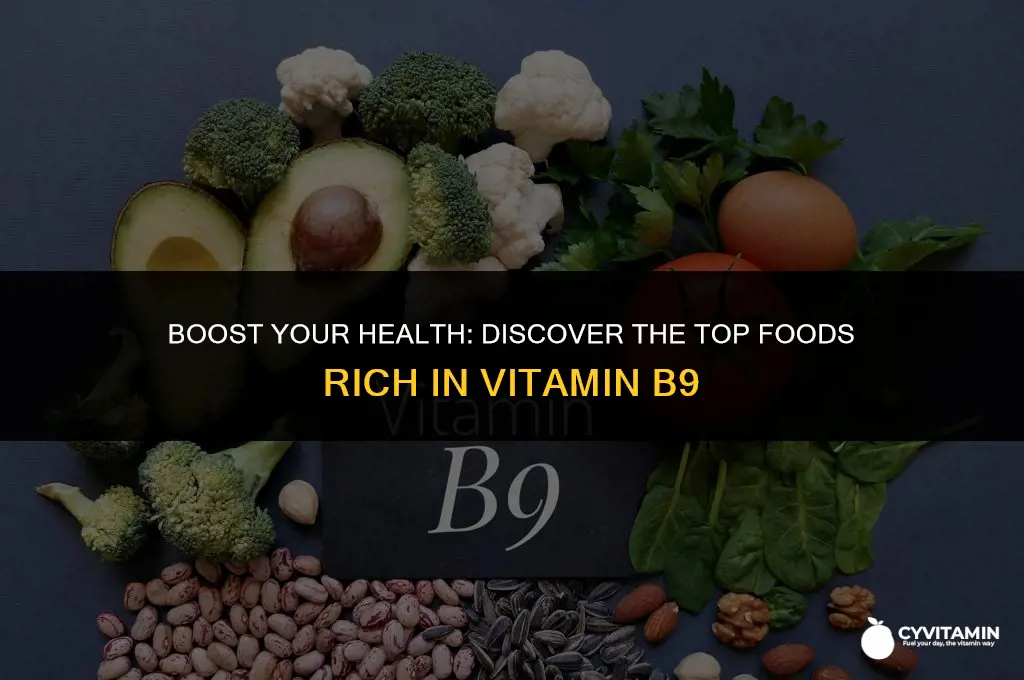 what foods contain vitamin b9