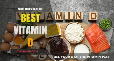 Top Vitamin D-Rich Foods to Boost Your Health Naturally